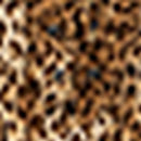 Chemisier - Top Brisia - Beige