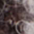 Manteau - Parka Leopoldine - Cigare