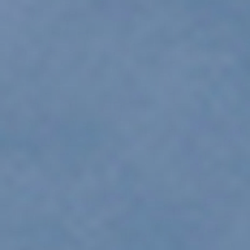 Petite Maroquinerie Ladyphone - Océan/Arctique/Marine