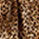 Sirena Dress - Beige