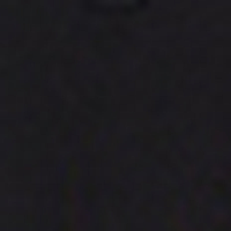 T-Shirt Alfredine - Noir