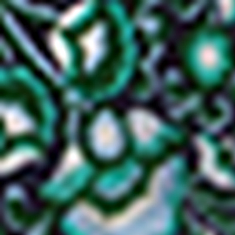 Pull - Gilet Joana - Vert