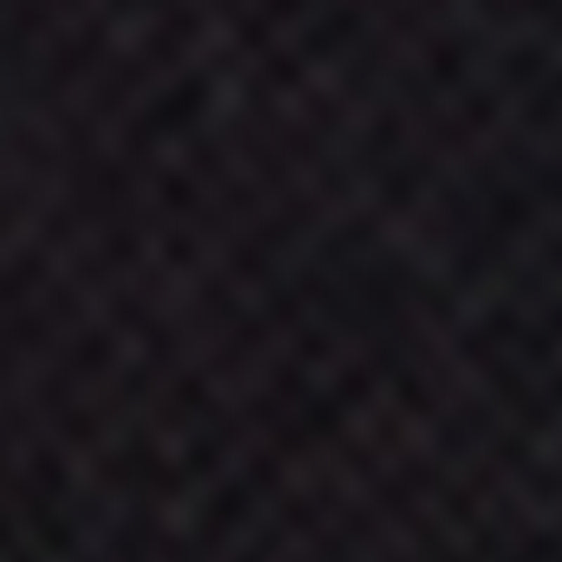 Veste Mirielle - Noir