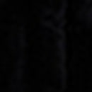 Manteau Peaux Lainees Letitia - Marine