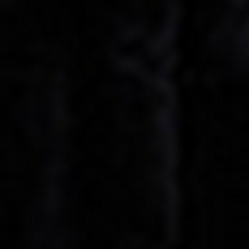 Manteau Peaux Lainees Letitia - Marine