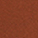 Ceinture Izia - Camel