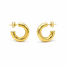 Boucles D'Oreilles Small Hoops - Doré Ou Argent