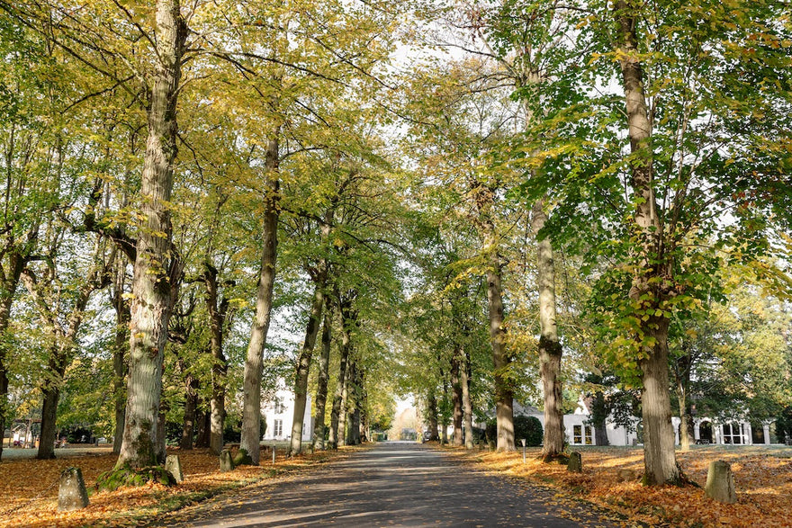Parque Coudray
