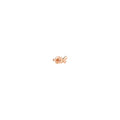 Boucle d’oreille Puce Papillon - Or Rose 9K