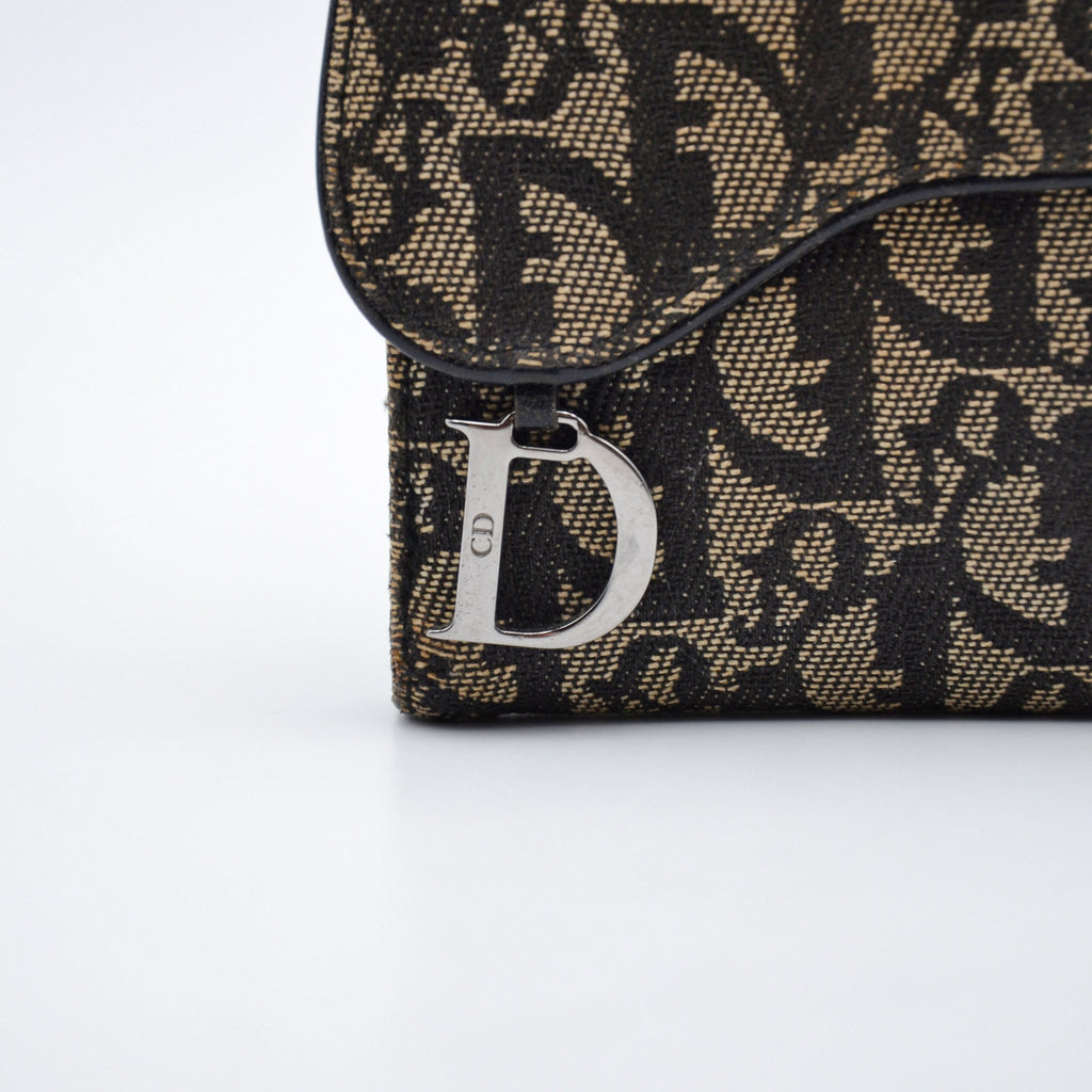 Cartera Dior Saddle