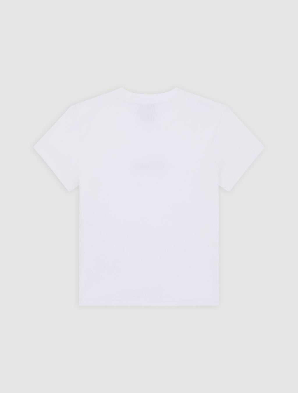 Wellsville Midweight T-Shirt - White