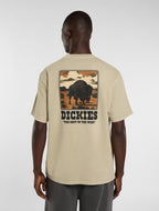 Camiseta De Peso Medio Darrtown - Eucalyptus