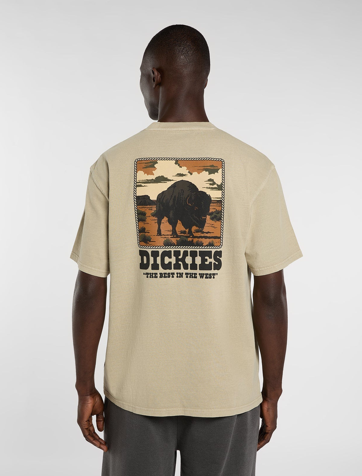 Camiseta De Peso Medio Darrtown - Eucalyptus