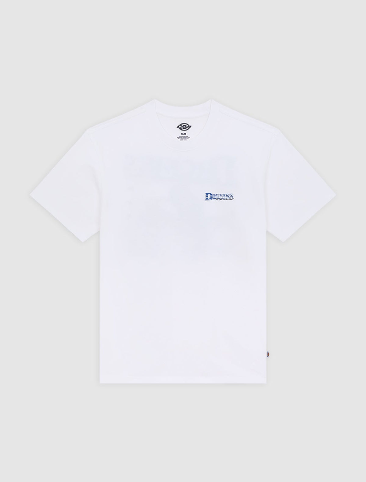 T-shirt Gainesville - Bianco - Uomo