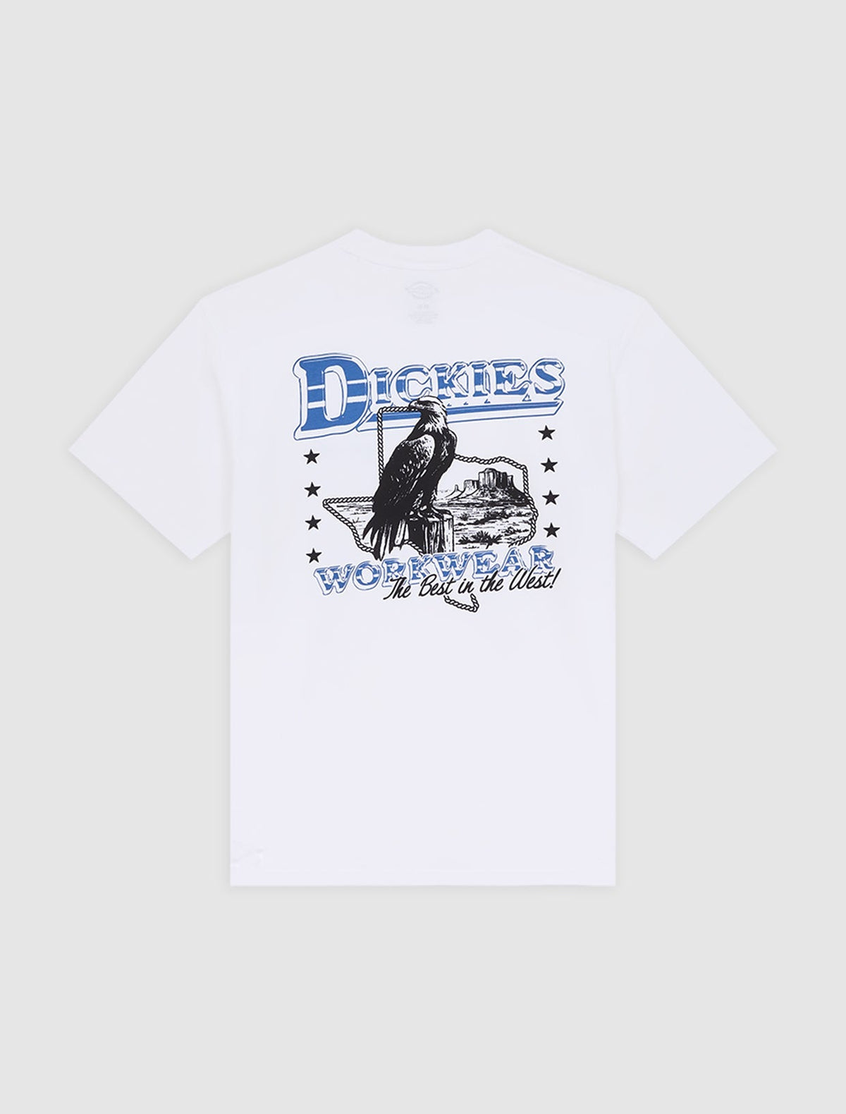 T-shirt Gainesville - Bianco - Uomo