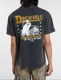 Camiseta Gainesville - Negro - Hombre