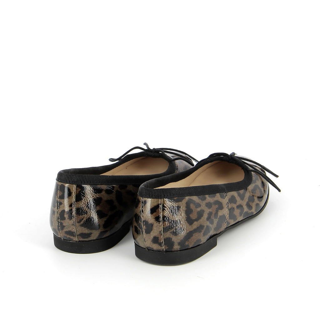 Pom d'Api – Pom D'Api - Dory Bal - Lugana, chaussures plates marron à motif léopard, vue de dos