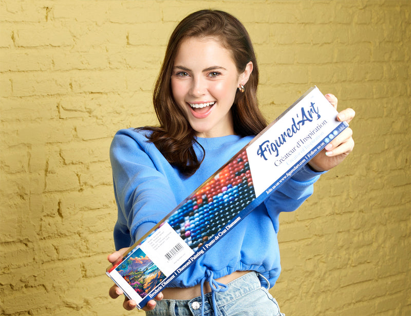 Broderie Diamant - Maisons En Bord De Plage