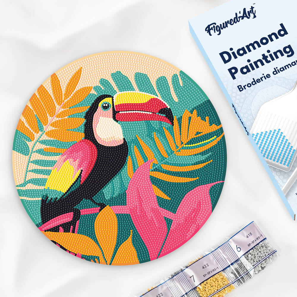 Diamond Painting Sur Disque En Bois - Toucan Tropical