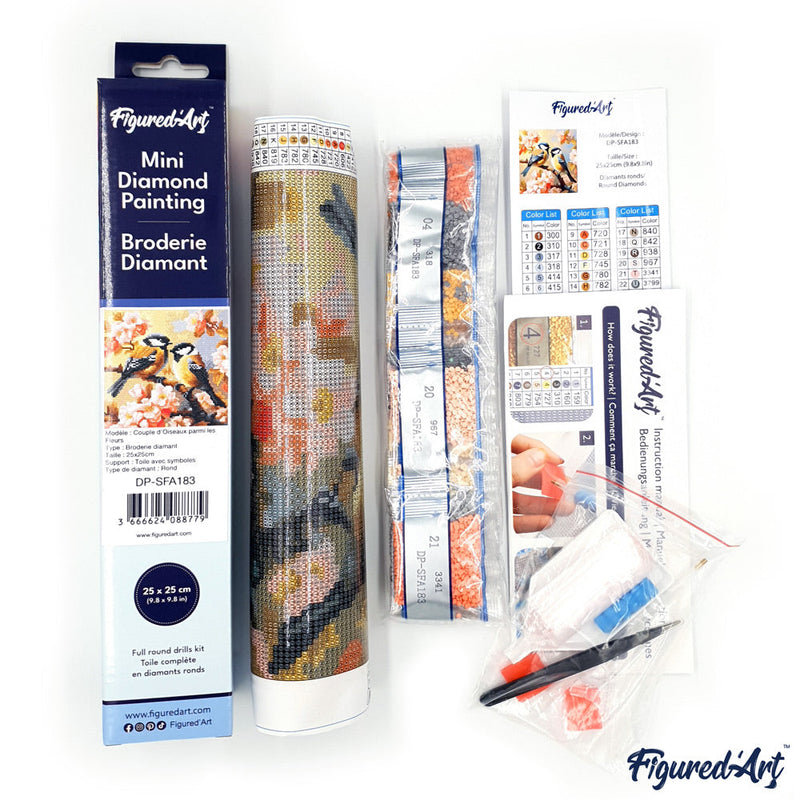 Mini Diamond Painting 25X25Cm - Nuit Étoilée Vibrante