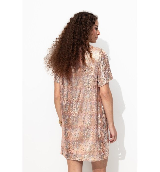 Robe Courte à Paillettes - Rose Uni Colore