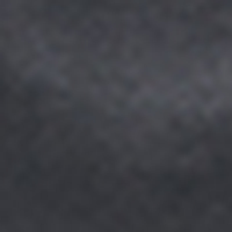 Petite Maroquinerie Ladyphone - Noir