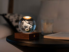 Gingko Design – Amber Crystal Leuchte - Pferderennen, Nachttischlampe in Form einer Kristallkugel mit einem Pferd