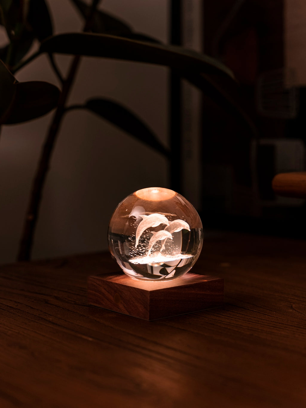 Gingko Design – Leuchte Amber Crystal - Delfine, eine leuchtende Glaskugel mit Delfinen auf einem Holzsockel