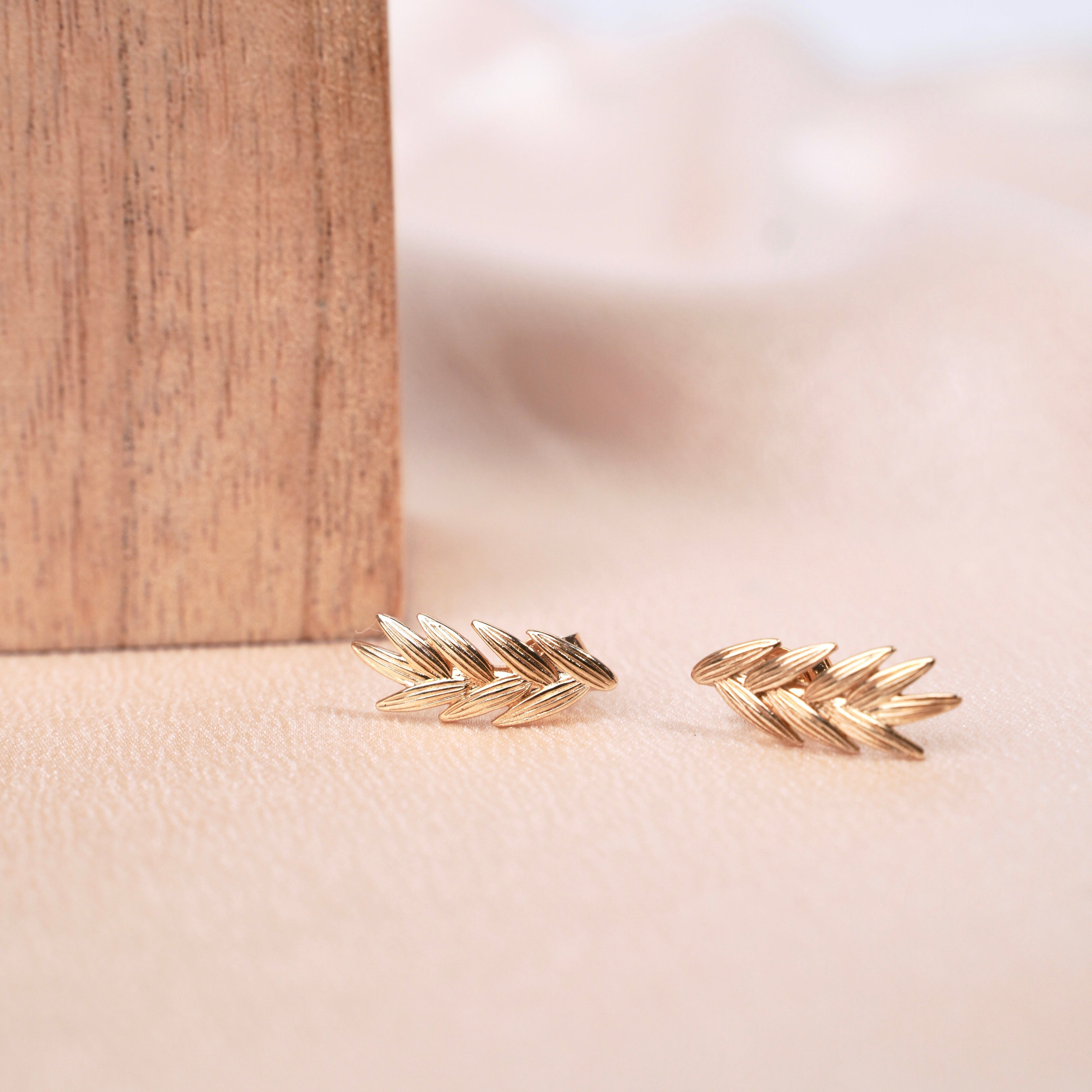 Boucles D'Oreilles Renaissance
