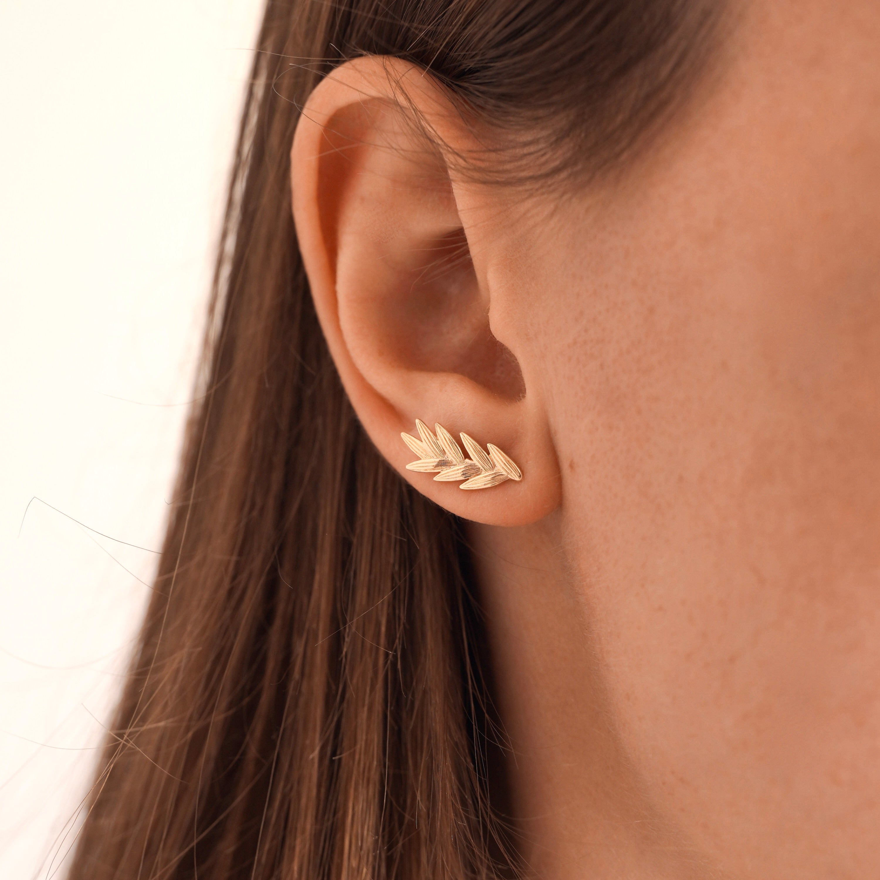 Boucles D'Oreilles Renaissance