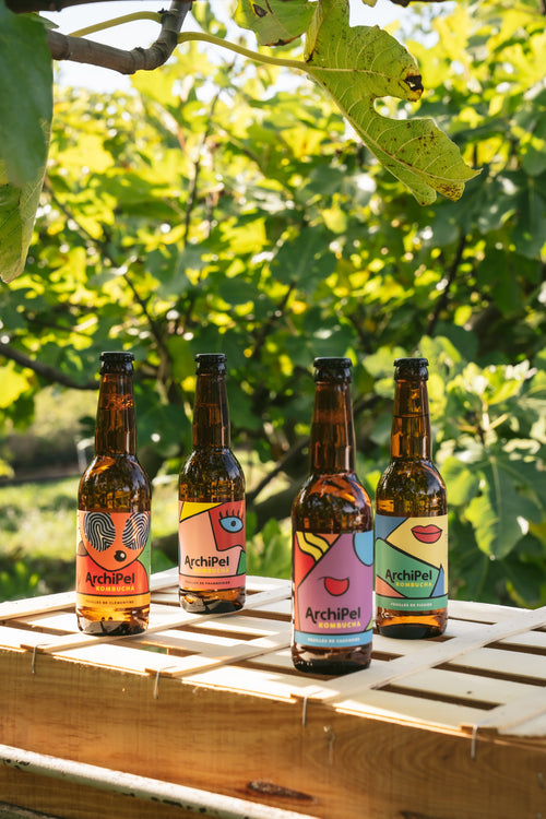 Mix Kombucha Dégustation Bio - 33Cl (x12)