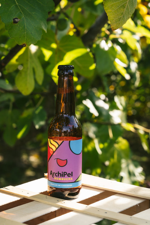 Kombucha Cassis Bio -33Cl (x12)