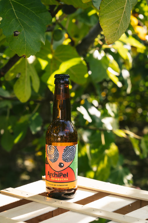 Kombucha Clémentine Bio - 33Cl (x12)