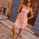 Robe Tassina