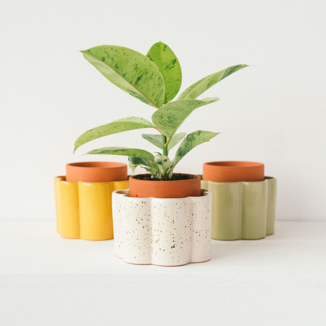 Pot Autonome Paulita - Jaune Moutarde