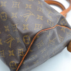 Louis Vuitton Speedy 25 Monogram
