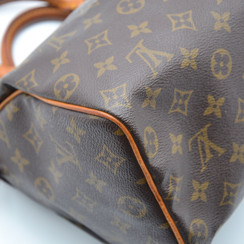 Louis Vuitton Speedy 25 Monogram
