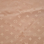 Pañuelo Louis Vuitton Monogram