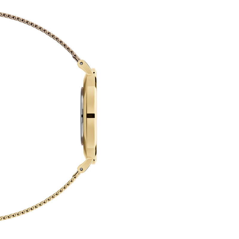 Reloj pequeño Evergold de oro negro