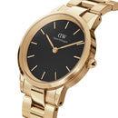 Iconic Link Black Gold