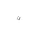 Micro Crystal Star Silver Earring