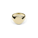Anillo De Sello Clásico De Oro
