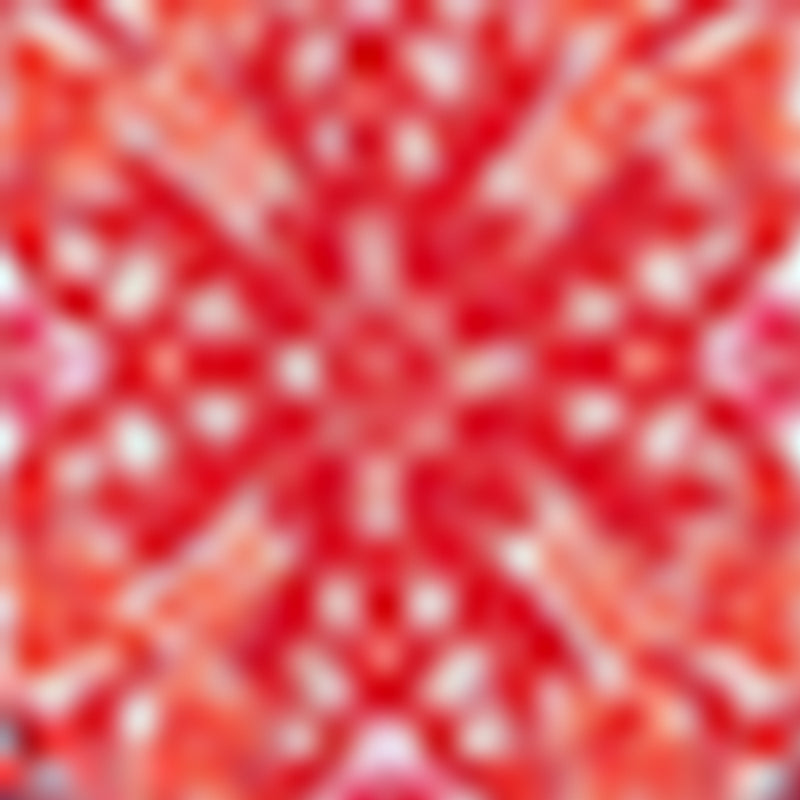 Badice Skirt - Coral