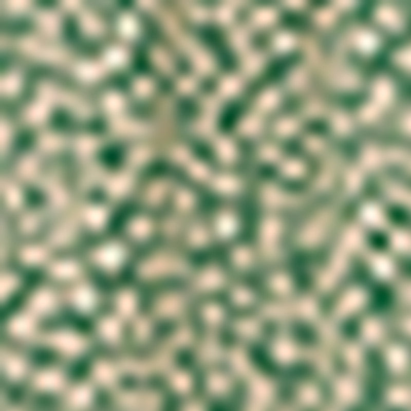 Juno Dress - Green