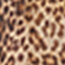 Pantalon Daiana - Camel