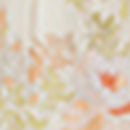 Robe Edynn - Multicolore