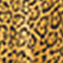 Robe Evanna - Jaune