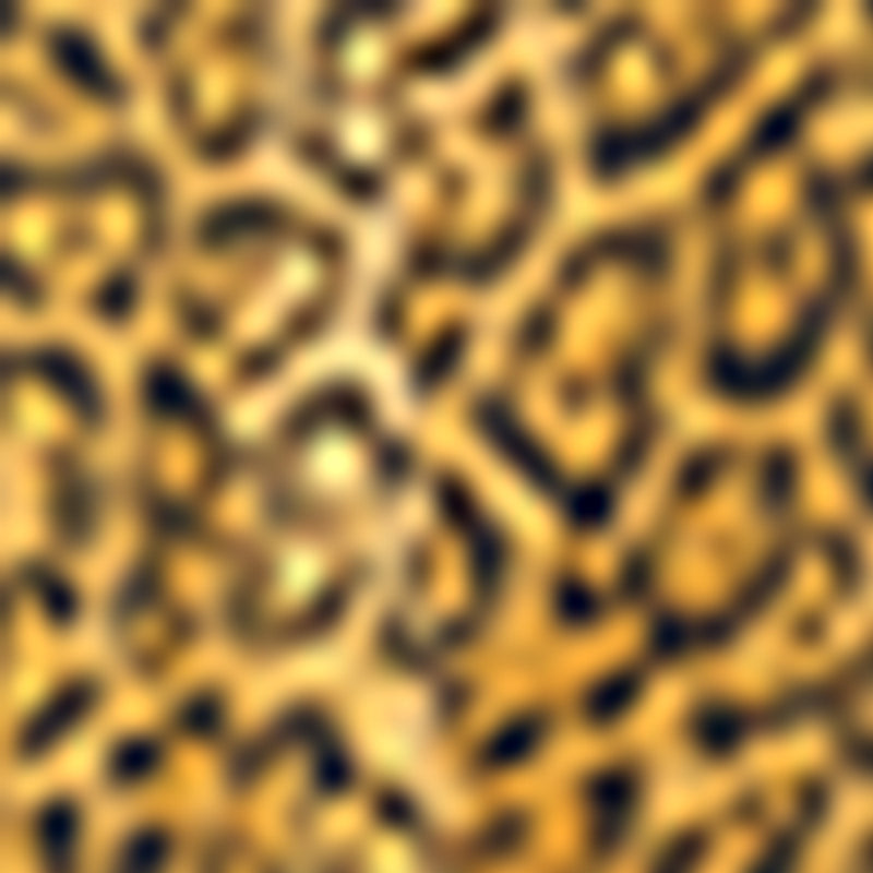 Robe Evanna - Jaune