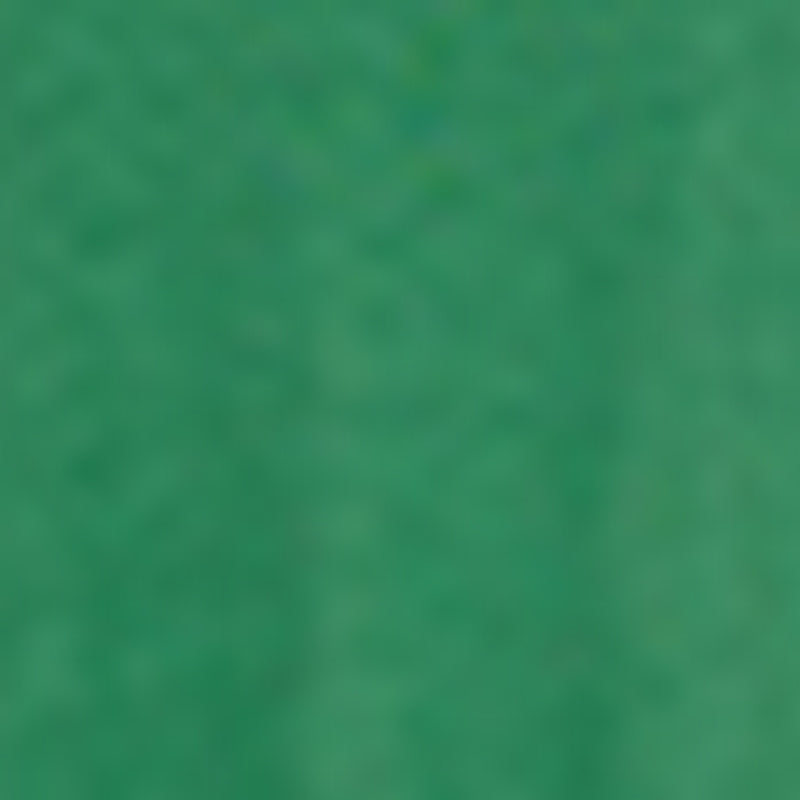 Magnolia T-Shirt - Green