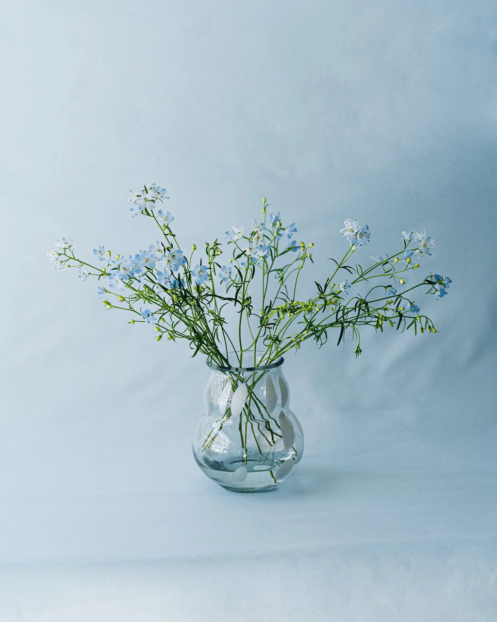 Vase Dam - White Spots